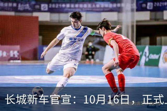 长城新车官宣：10月16日，正式上新